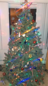 Our Christmas Tree this year.