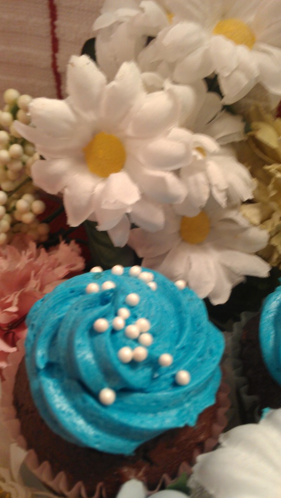 Choclate Cupcakes with Blue Vanilla Buttercream8 (2)
